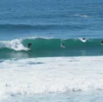 Eisbach Riders Surf Fins