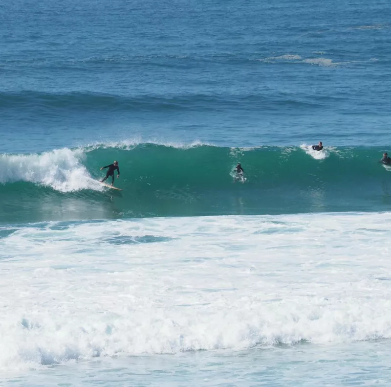 Eisbach Riders Surf Fins