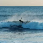 Eisbach Riders Surf Fins